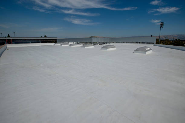 Best Cold Roofs  in Moulton, AL