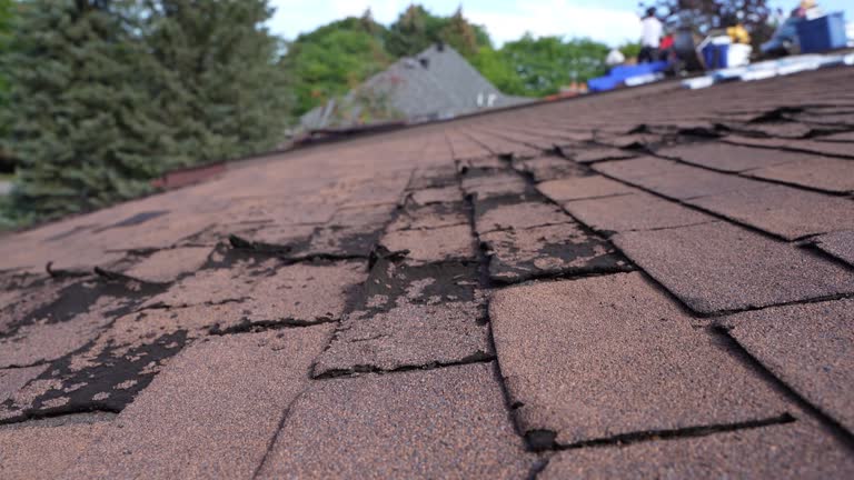 Best Asphalt Shingles Roofing  in Moulton, AL