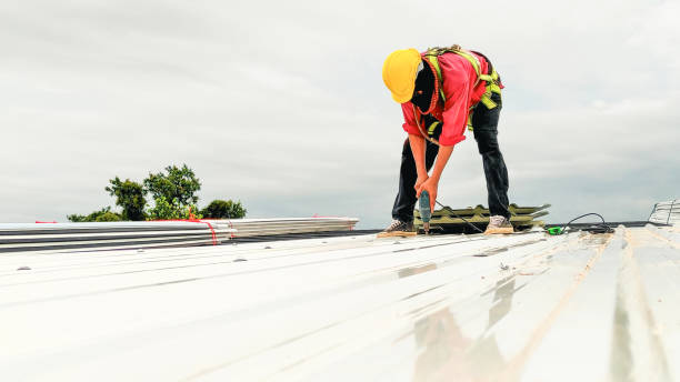 Best Roof Insulation Installation  in Moulton, AL
