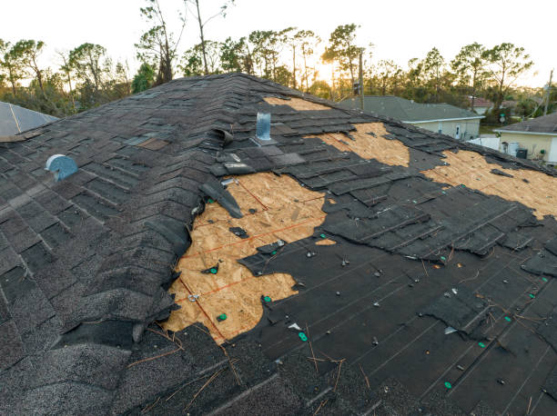 Best Roof Leak Repair  in Moulton, AL